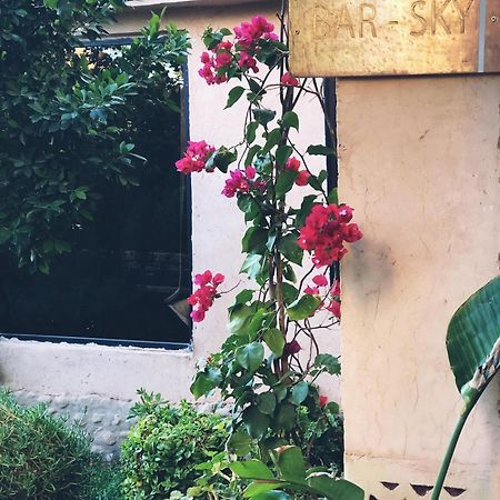 Riad Tama & Spa Ουαρζαζάτ Εξωτερικό φωτογραφία