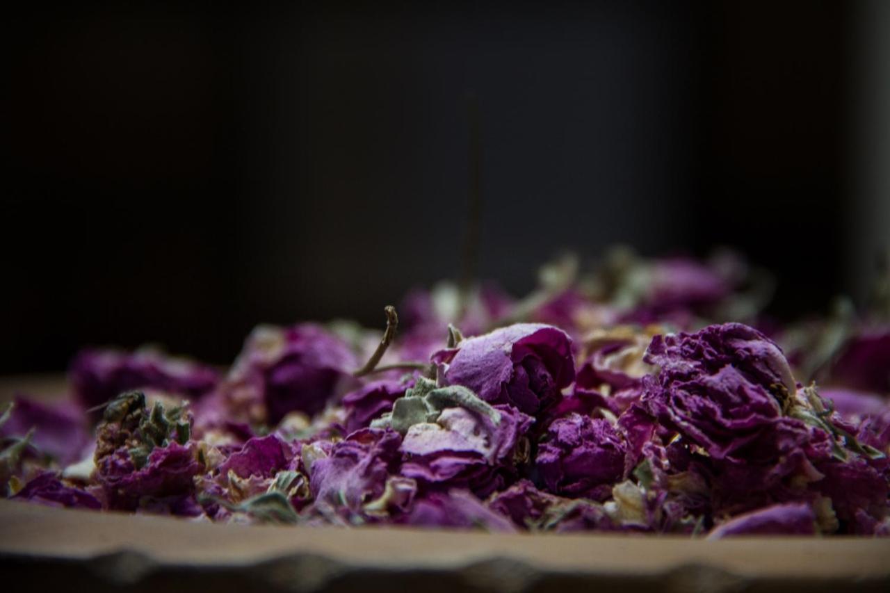 Riad Tama & Spa Ουαρζαζάτ Εξωτερικό φωτογραφία