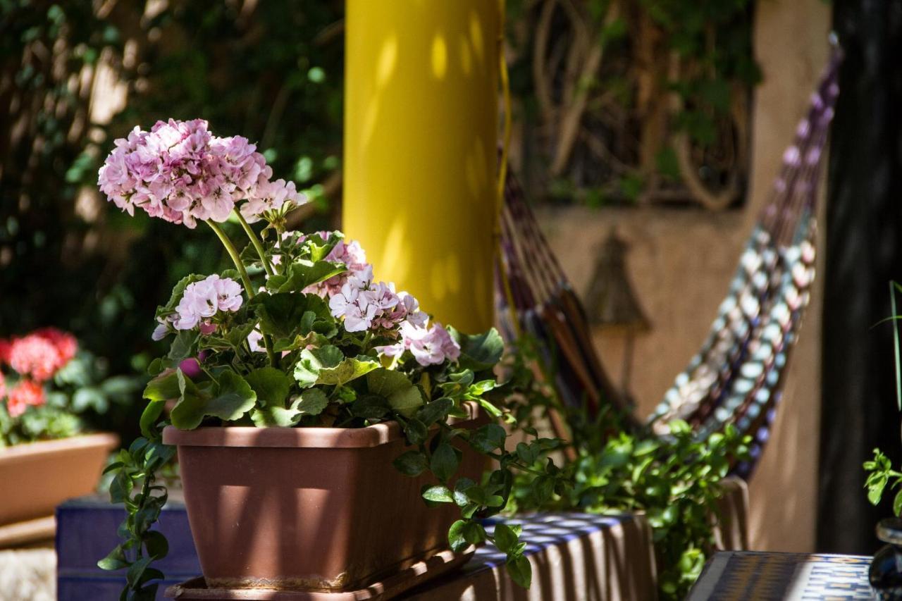 Riad Tama & Spa Ουαρζαζάτ Εξωτερικό φωτογραφία
